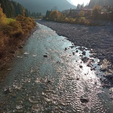 Alojamento de Acomodação e Pequeno-almoço Ai Carpini 3*