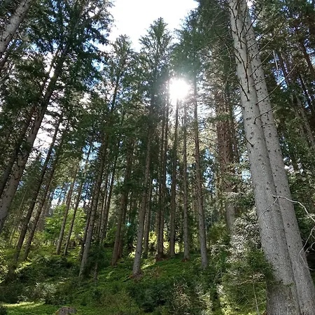 Ai Carpini 3* San Pietro di Cadore