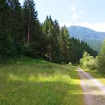 Ai Carpini