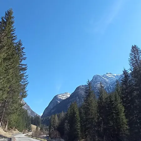 Oda ve Kahvaltı Ai Carpini San Pietro di Cadore