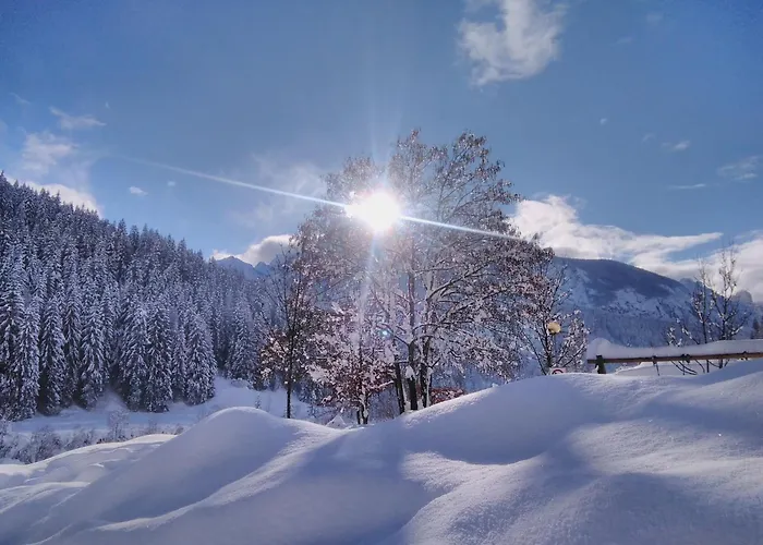 Bed & Breakfast Ai Carpini 3*